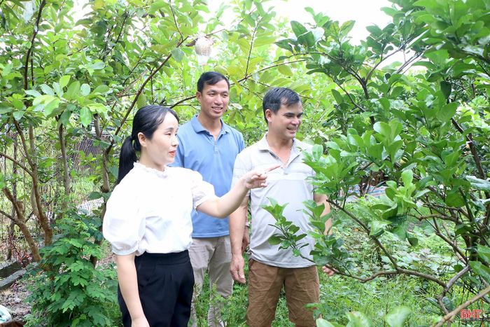 Bí thư Chi bộ thôn Đông Yên Nguyễn Thị Hồng Phúc kiểm tra mô hình phát triển kinh tế tại địa phương.