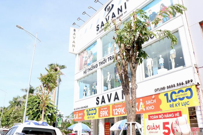 Cả 2 cây xanh đều bị xâm phạm nghiêm trọng.