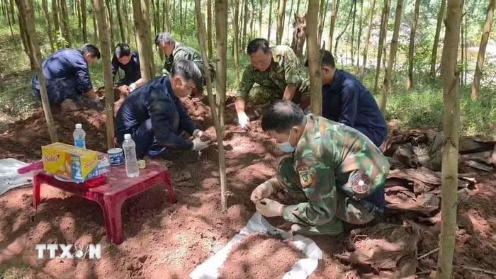 Ngày 3/10, Đội Tìm kiếm, quy tập hài cốt liệt sỹ số 1, Phòng Chính trị, Bộ Chỉ huy Quân sự tỉnh Quảng Trị đã tìm thấy, cất bốc và quy tập thêm 3 hài cốt liệt sỹ tại khu vực rừng tràm thuộc bản Bãi Dinh, xã Dân Hóa, tỉnh Quảng Trị và đưa các anh trở về. (Ảnh: TTXVN phát)