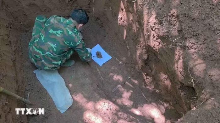 Ngày 3/10, Đội Tìm kiếm, quy tập hài cốt liệt sỹ số 1, Phòng Chính trị, Bộ Chỉ huy Quân sự tỉnh Quảng Trị đã tìm thấy, cất bốc và quy tập thêm 3 hài cốt liệt sỹ tại khu vực rừng tràm thuộc bản Bãi Dinh, xã Dân Hóa, tỉnh Quảng Trị và đưa các anh trở về. (Ảnh: TTXVN phát)
