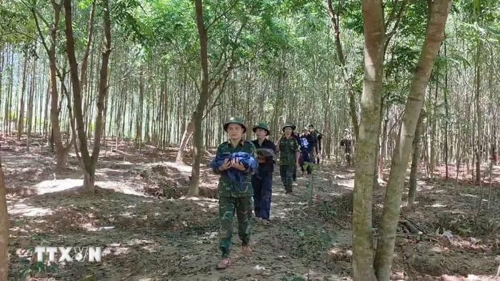 Ngày 3/10, Đội Tìm kiếm, quy tập hài cốt liệt sỹ số 1, Phòng Chính trị, Bộ Chỉ huy Quân sự tỉnh Quảng Trị đã tìm thấy, cất bốc và quy tập thêm 3 hài cốt liệt sỹ tại khu vực rừng tràm thuộc bản Bãi Dinh, xã Dân Hóa, tỉnh Quảng Trị và đưa các anh trở về. (Ảnh: TTXVN phát)