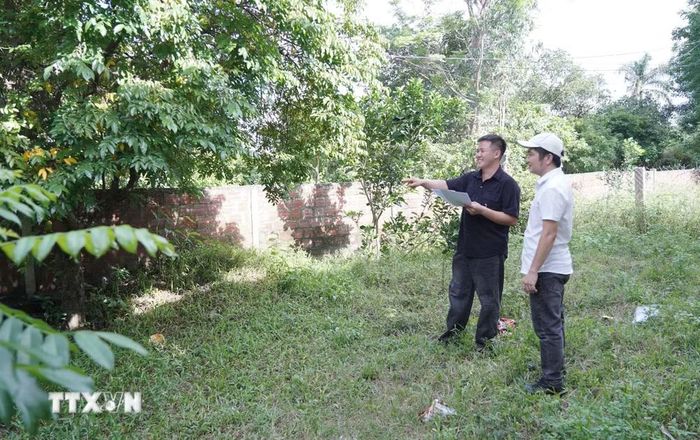 Diện tích đất của anh Trần Hiếu Trung (con trai bà Lê Thị Mỹ Lệ, trái), phường Đồng Sơn, tỉnh Quảng Trị được chuyển đổi sang đất ở. (Ảnh: Thanh Thủy/TTXVN)