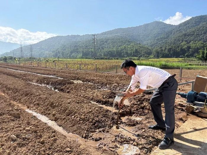 Để tiết kiệm tiền nước tưới nước cho khu trồng rau và hệ thống cây trong khắp khuôn viên trường, thầy Sơn đã lắp đặt 5 giếng khoan. Nguồn nước này dự kiến sẽ được lọc bằng bể lọc truyền thống để phục vụ một phần sinh hoạt cho học sinh và để vận hành bể bơi. Thầy Sơn cho hay, bể bơi với dung tích khoảng 240m2 nước, nếu sử dụng nước sạch thì sẽ phát sinh nguồn chi phí vận hành rất lớn. (Ảnh: Vietnam+)