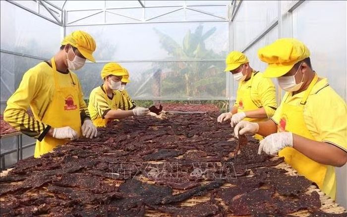 Doanh nghiệp nhỏ và vừa được ngành chức năng hỗ trợ nhà màn để phơi sản phẩm. Ảnh minh họa: Tuấn Phi/TTXVN