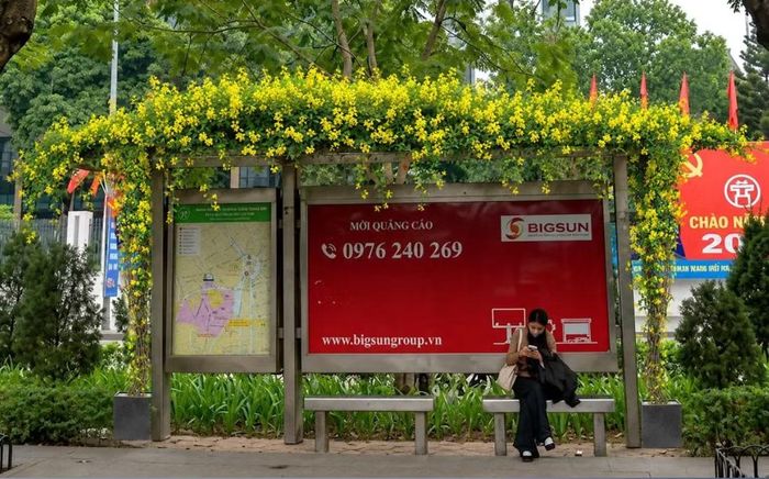 Phương án phủ xanh nhà chờ xe buýt.
