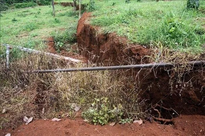 Khe nứt có độ sâu khoảng 1m, nhiều điểm nhìn không thấy đáy.