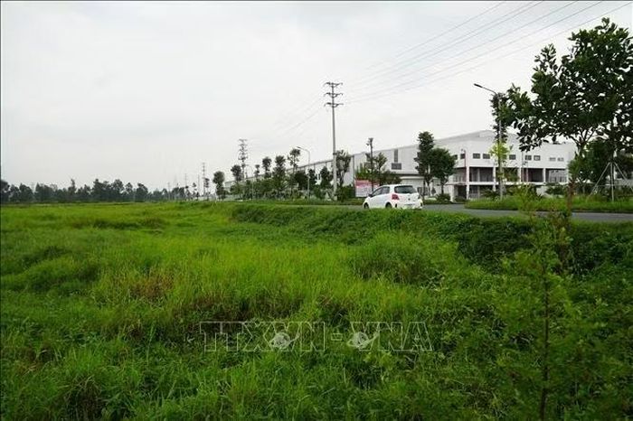 Hiện tỉnh Hưng Yên có hàng vài chục ha đất nông nghiệp đang bị để hoang.
