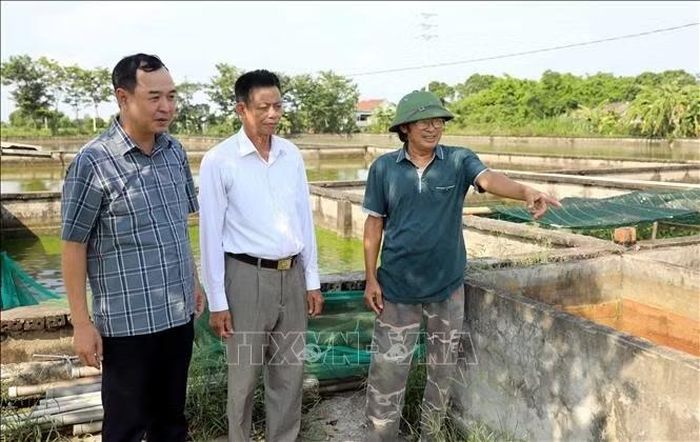Ông Bùi Thọ Thính (ngoài cùng, bên phải, thôn 21, xã Đông Hưng, tỉnh Hưng Yên) là một trong những hộ nông dân tiêu biểu vươn lên làm giàu từ nguồn vốn tín dụng chính sách. Ảnh: Thu Hoài/TTXVN