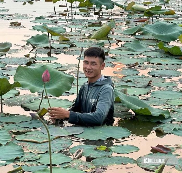 Anh Trinh trải qua thời gian dài tìm hiểu và quyết định đưa giống sen hồng về bén duyên với vùng đất Ninh Châu.