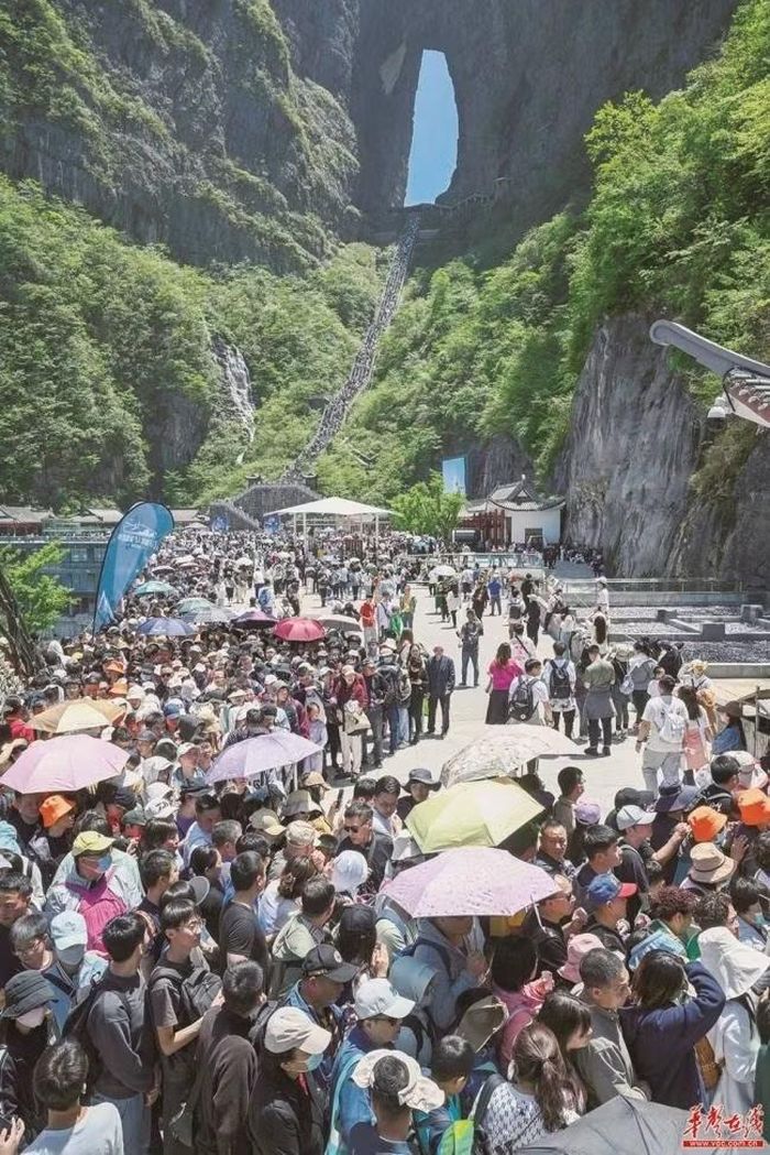 Biển người ở Trương Gia Giới. Ảnh: Creaders..