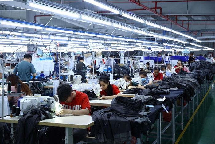 Sản xuất hàng may mặc xuất khẩu tại Công ty STX Việt Nam (Nhật Bản) tại KCN Tân Kim (Tây Ninh). Ảnh: Huy Hùng - TTXVN