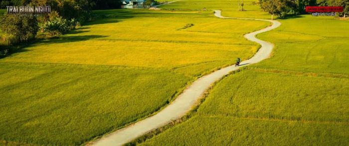 Con đường xuất hiện trong phân cảnh nhân vật Ny (Steven Nguyễn) đi tìm em gái Út Đẹt