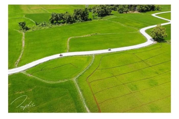 Hai bên đường bà con nông dân trồng cây màu ngắn ngày, lúa, đậu phộng, khoai mì…