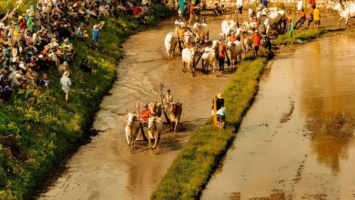 Lễ hội đua bò nhìn từ trên cao