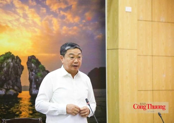 Cục trưởng Cục Địa chất và Khoáng sản Việt Nam Trần Bình Trọng báo cáo tại buổi làm việc.