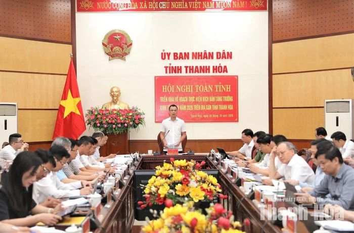 Chủ tịch UBND tỉnh Tô Anh Dũng chủ trì hội nghị.