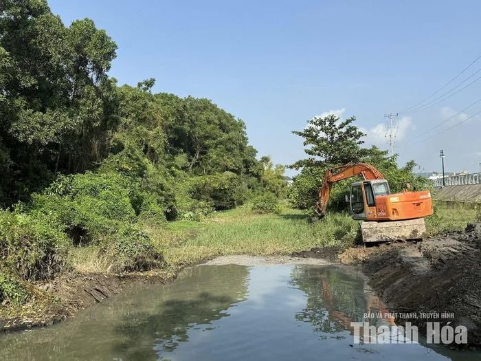 Phường Hạc Thành tổ chức nạo vét, khơi thông các tuyến kênh tiêu trên địa bàn.