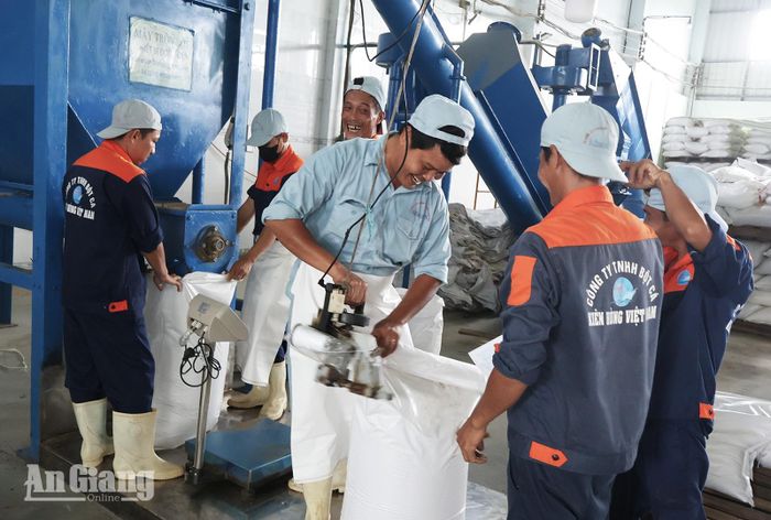 Công nhân nhà máy sản xuất bột cá Công ty Trách nhiệm hữu hạn Bột cá Kiên Hùng Việt Nam, xã Bình An đóng bao bì thành phẩm bột cá trước khi đưa ra thị trường.