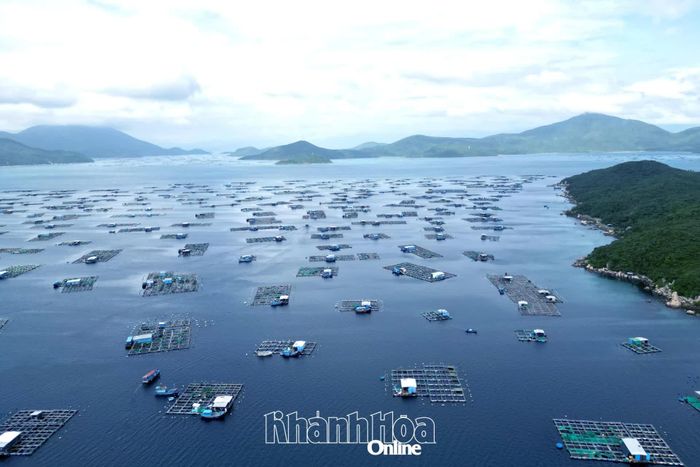 Một khu vực nuôi trồng thủy sản ngoài quy hoạch trên địa bàn xã.