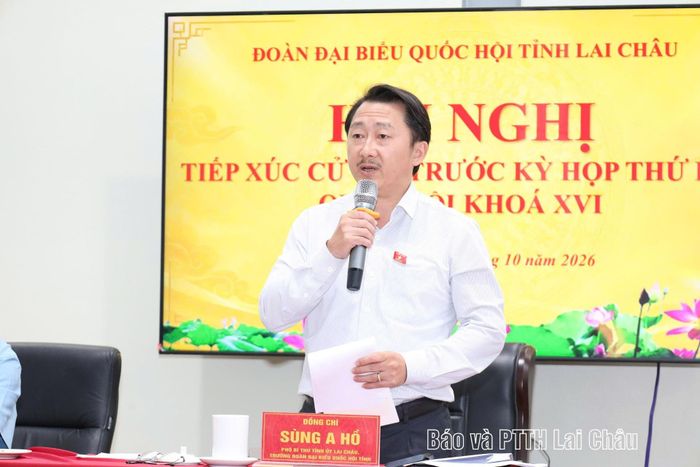 Đồng chí Sùng A Hồ - Phó Bí thư Tỉnh ủy, Trưởng Đoàn ĐBQH tỉnh phát biểu tại hội nghị TXCT.