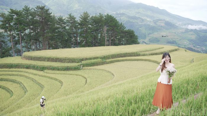 Du khách chụp ảnh lưu niệm giữa những thửa ruộng bậc thang mùa lúa chín ở Mù Cang Chải.