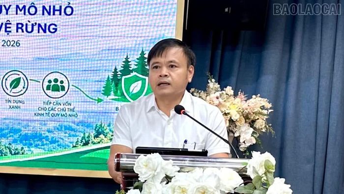 Các đại biểu tham luận tại hội thảo.