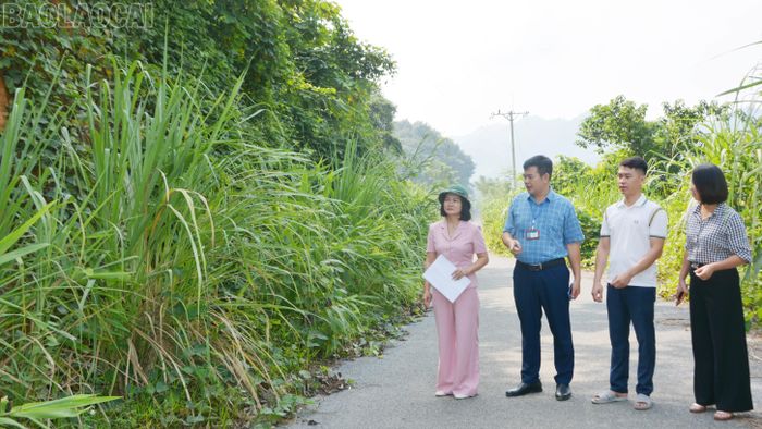 Thông qua hoạt động khảo sát góp phần giúp hoạt động của HĐND phường trở nên gần dân, sát thực tiễn và thực chất hơn.