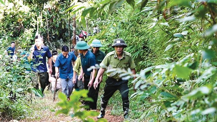Lực lượng kiểm lâm, tổ bảo vệ rừng tổ chức tuần tra các khu vực rừng trọng điểm.