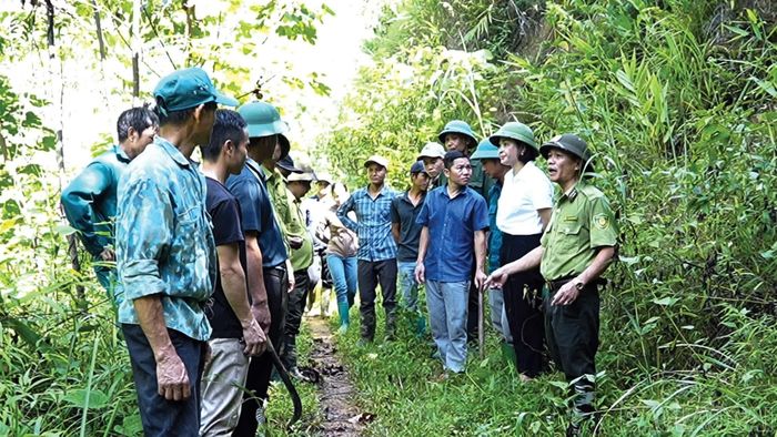 Tổ bảo vệ rừng kích hoạt phương án phòng chống cháy rừng ở mức cao nhất, nhất là tại khu vực giáp ranh.
