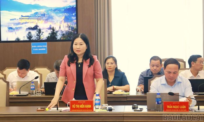 Phó Chủ tịch UBND tỉnh Vũ Thị Hiền Hạnh phát biểu tại buổi làm việc.
