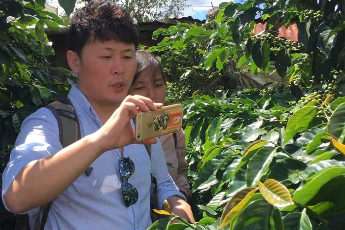 Đối tác nước ngoài khảo sát, ký hợp đồng thu mua sản phẩm cà phê bảo vệ môi trường rừng và cảnh quan tại phường Xuân Trường- Đà Lạt