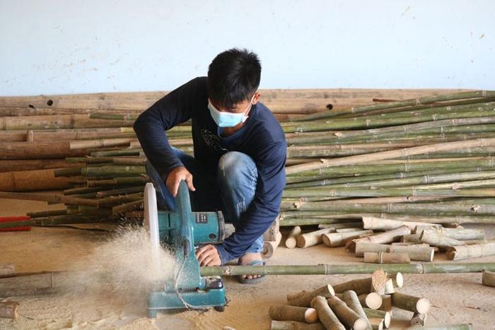 Tre tầm vông được người dân buôn Tố Lan trồng để tăng thêm thu nhập
