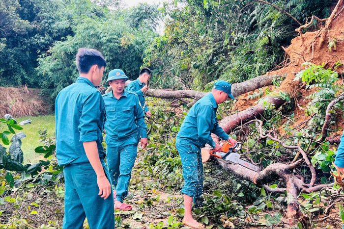 Lực lượng dân quân xã Cát Tiên nhanh chóng xử lý điểm sạt lở làm cây ngã đổ chắn ngang đường dân sinh