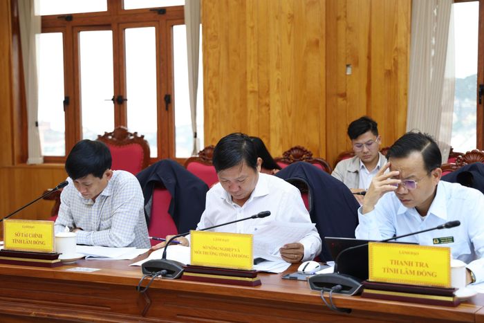 Lãnh đạo các sở, ngành tham dự tại hội nghị