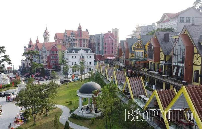 Tam Đảo - Điểm đến nghỉ dưỡng yêu thích của du khách trong nước và quốc tế.