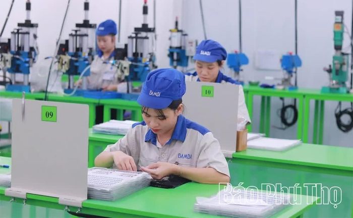 Công ty TNHH Bambi Việt Nam (Khu công nghiệp Thăng Long Vĩnh Phúc, xã Bình Xuyên) có vốn đầu tư Nhật Bản, hoạt động từ năm 2020, sản xuất dây đeo đồng hồ kim loại và các chi tiết liên quan.