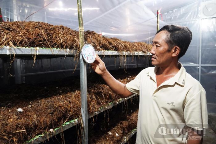 Nhà trồng nấm luôn được duy trì độ ẩm phù hợp với điều kiện sinh trưởng và phát triển của nấm - Ảnh: L.L
