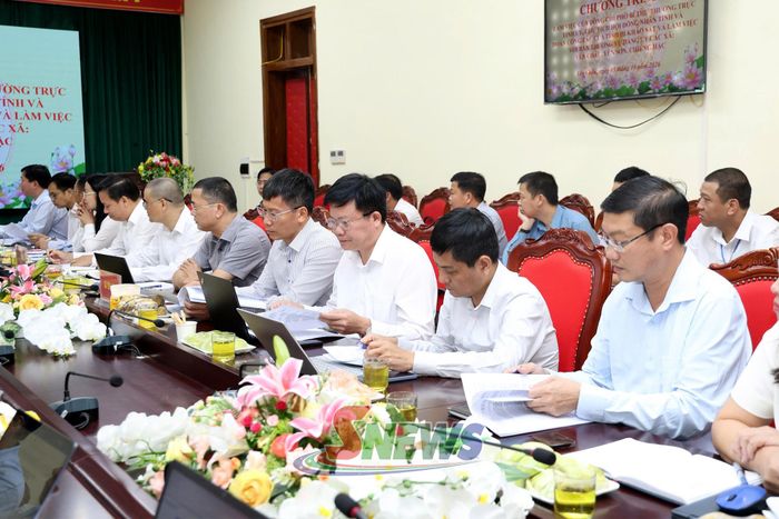 Các đại biểu dự cuộc làm việc.
