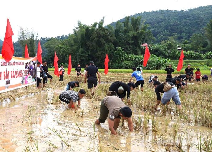Người dân hào hứng bắt cá ruộng tại Lễ hội Tết cá người Tày ở Mậu Duệ.