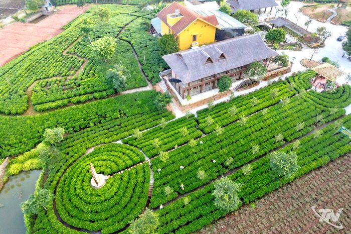 Nhiều hộ dân vùng chè Tân Cương đầu tư phát triển du lịch cộng đồng, tạo thêm điểm trải nghiệm cho du khách khám phá văn hóa Trà.