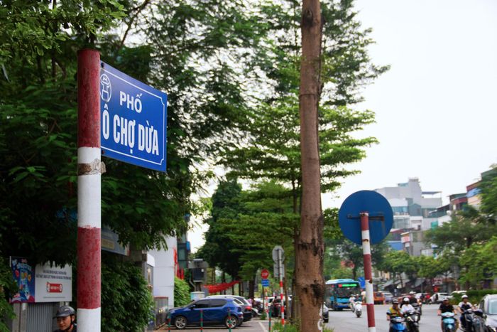 Đoạn phố Ô Chợ Dừa từ số nhà 34 đến nút giao Hoàng Cầu có mặt cắt hiện hữu chưa đáp ứng lưu lượng phương tiện gia tăng, đặc biệt vào giờ cao điểm.