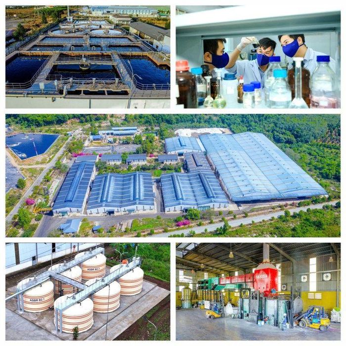 Hệ sinh thái dịch vụ môi trường của SDV.