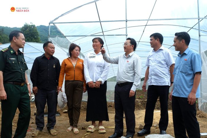 Thăm mô hình trồng rau của Đồn Biên phòng Sì Lở Lầu