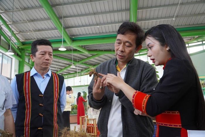 Đồng bào Ca Dong tại HTX Cộng đồng Ngọc Linh trong hành trình đưa sản vật vùng cao đến thị trường.