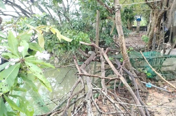 Nhiều đoạn bờ sông Bồ ở tổ dân phố Đông Toàn, phường Kim Trà bị sạt lở ăn sâu vào sát nhà dân, đường bê tông.