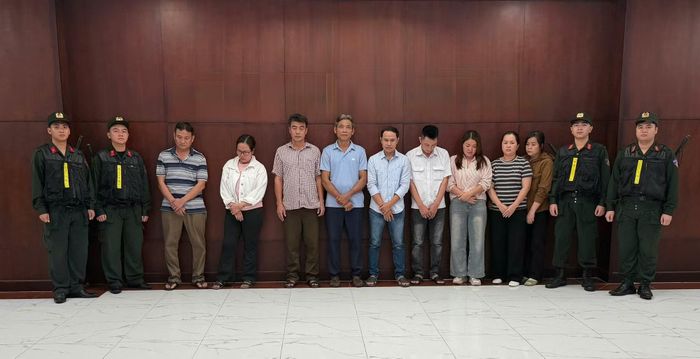 Cơ quan Cảnh sát điều tra Công an TP Hồ Chí Minh khởi tố bị can và bắt tạm giam 9 đối tượng về 4 tội danh.