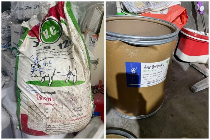 Chất tạo nạc Salbutamol các đối tượng sử dụng để phối trộn với thức ăn cho heo ăn.