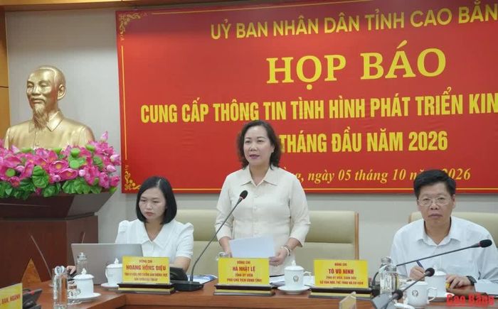 Phó Chủ tịch UBND tỉnh Hà Nhật Lệ phát biểu kết luận họp báo.