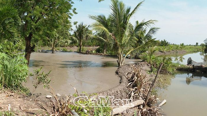 Người dân thực hiện đúng quy định trong quá trình sên, vét, cải tạo ao, vuông.