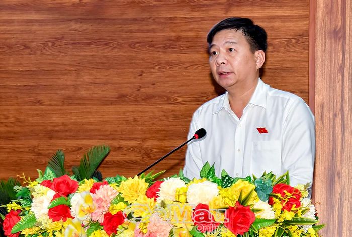 Ông Nguyễn Bình Tân, Uỷ viên Ban Thường vụ Tỉnh uỷ, Phó Trưởng Đoàn chuyên trách Đoàn đại biểu Quốc hội tỉnh, Uỷ viên Uỷ ban Khoa học, Công nghệ và Môi trường của Quốc hội, phát biểu kết luận hội nghị.